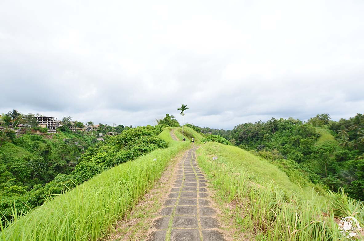 Campuhan Ridge Walk