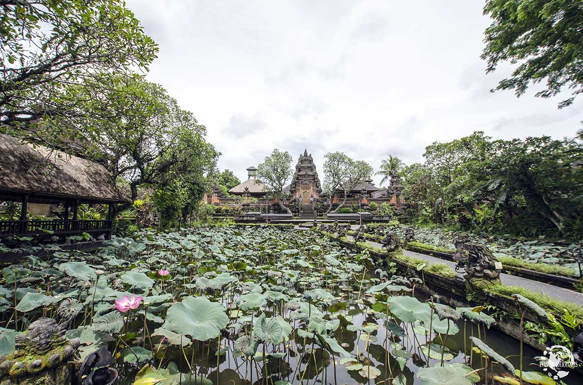 Pura Taman Saraswati