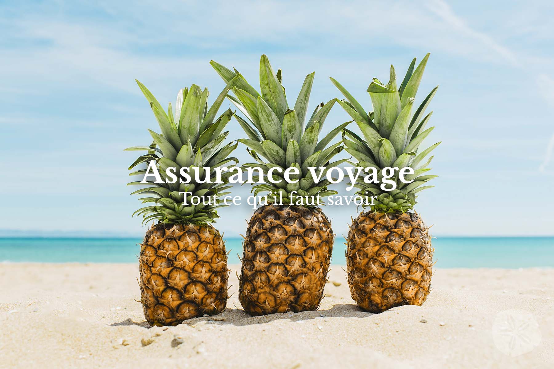 Assurance voyage