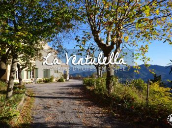 Chambre d’hôtes en Corse: Bienvenue à La Ventulella de Moltifao !
