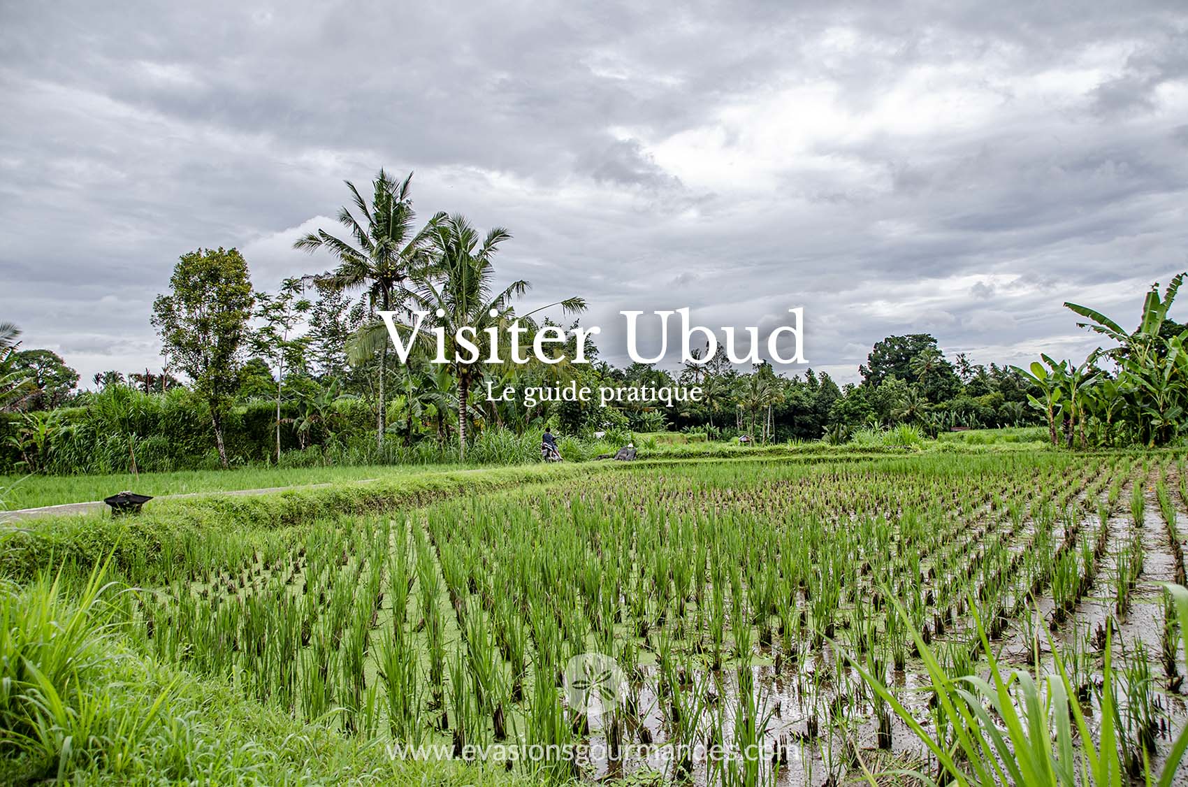 Visiter Ubud