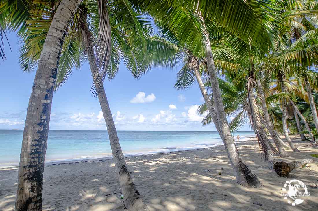 Playa Ballenas Las Terrenas