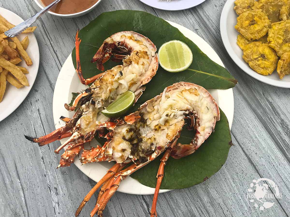 Langouste Las Terrenas