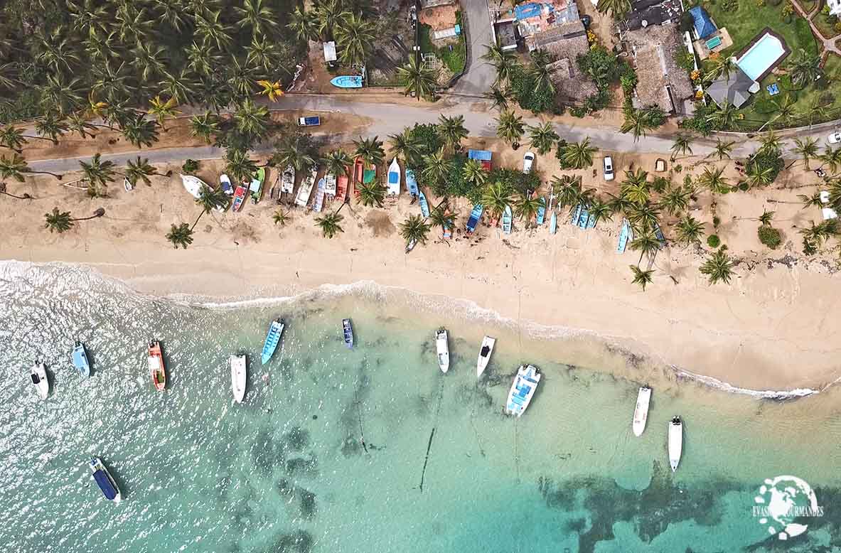 Playa Ballenas Las Terrenas