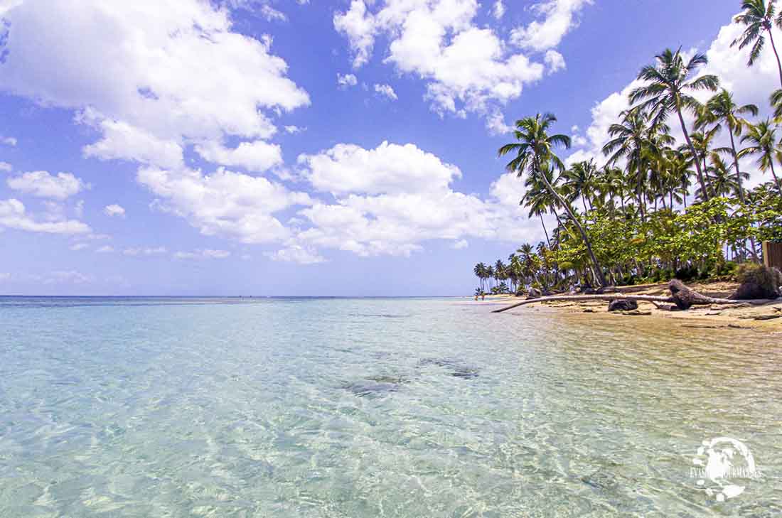 Playa Los Nomadas Las Terrenas