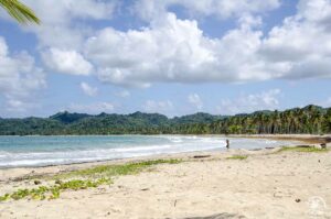 Playa Rincon Samana