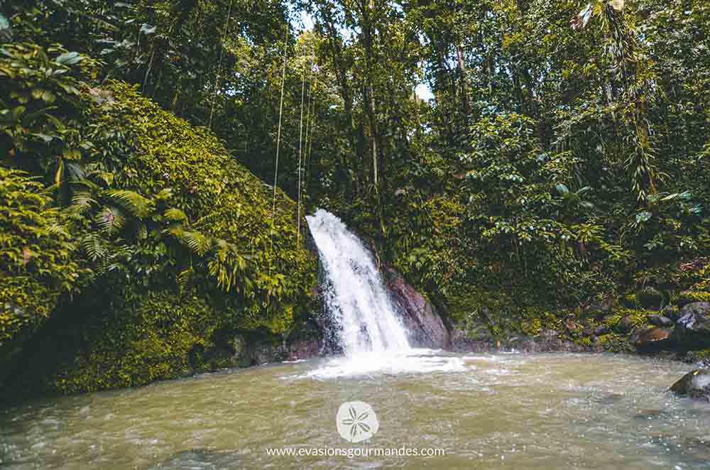 Road trip Guadeloupe - Cascade Ecrevisses