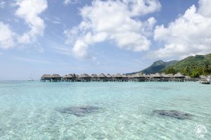 Evasions Gourmandes - blog voyage