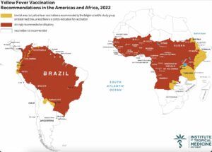 Fièvre jaune 2022