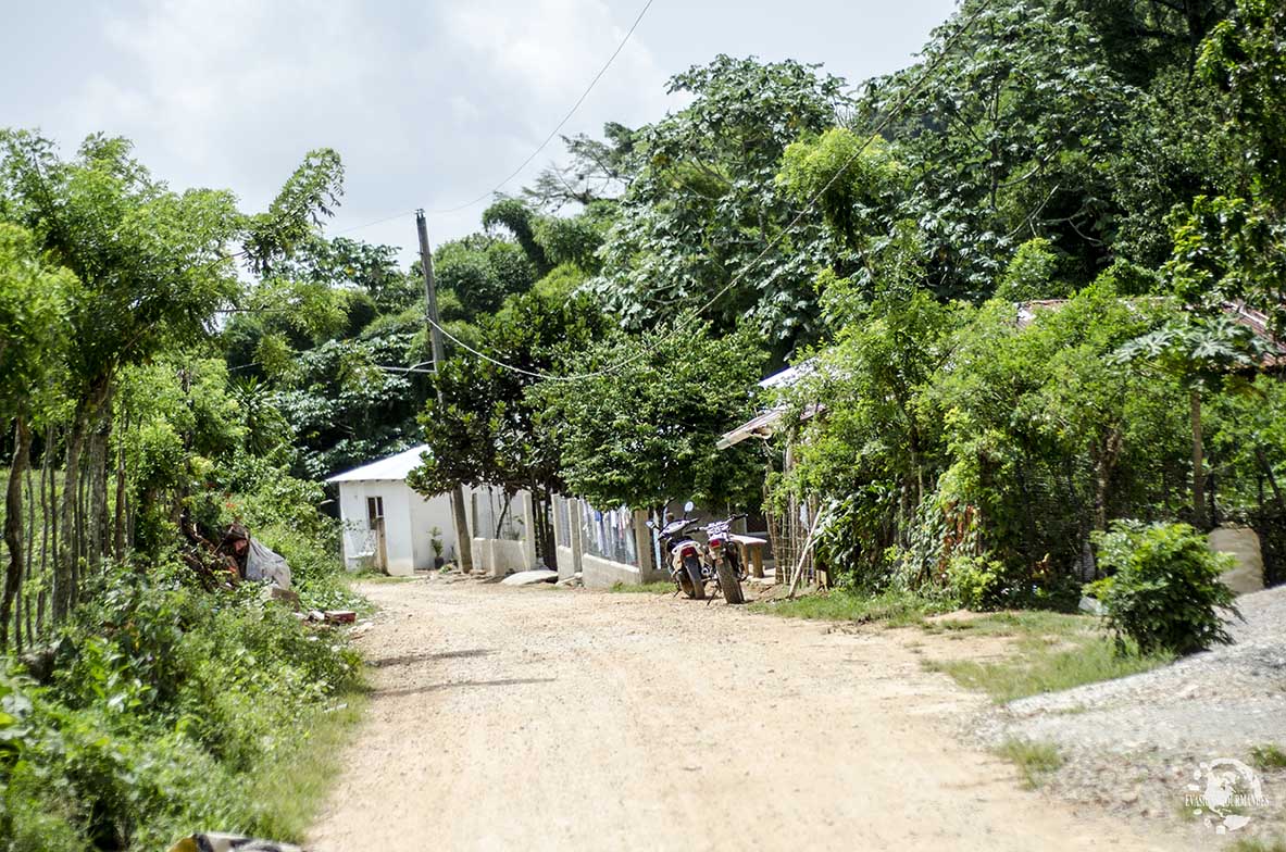 Route du Café Las Terrena