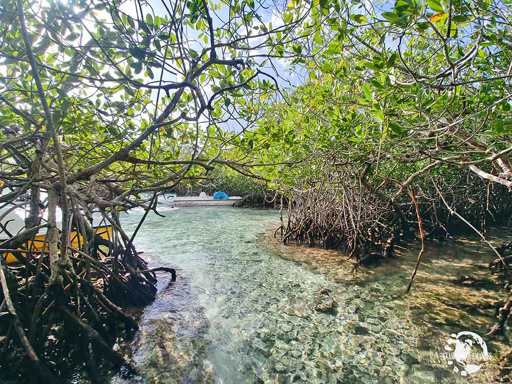 Boca Chica