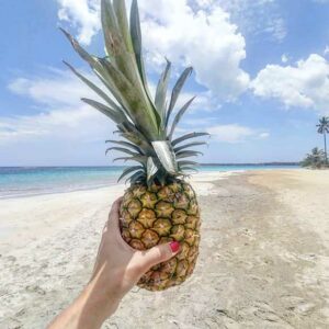 Blog voyage