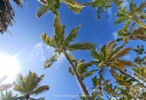 Catalonia Bavaro - Hôtel all inclusive Punta Cana