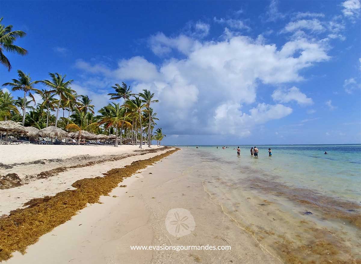 Catalonia Bavaro - Hôtel all inclusive Punta Cana