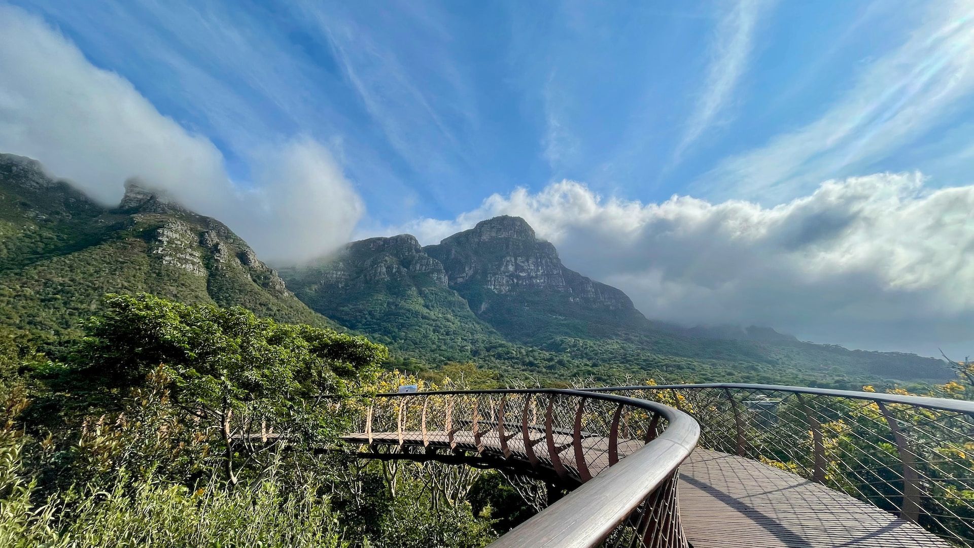 Kirstenbosch National Garden