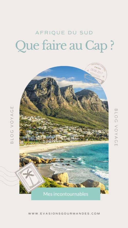 Que faire au Cap (Cape town) ?