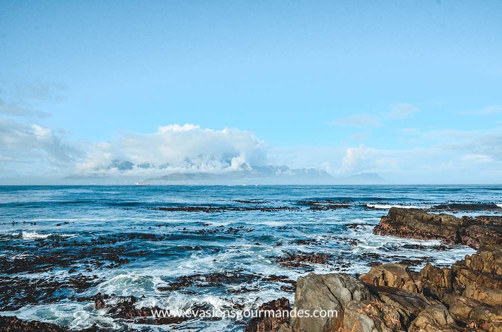 Vue depuis Robben Island sur le Cap