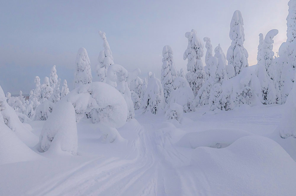 Équipement grand froid — Comment bien s'habiller pour une destination  nordique ?