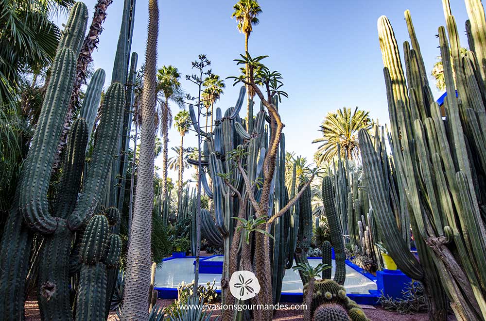 Jardin Majorelle