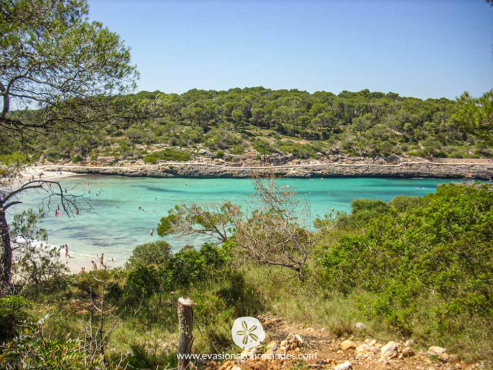 Cala Mondrago