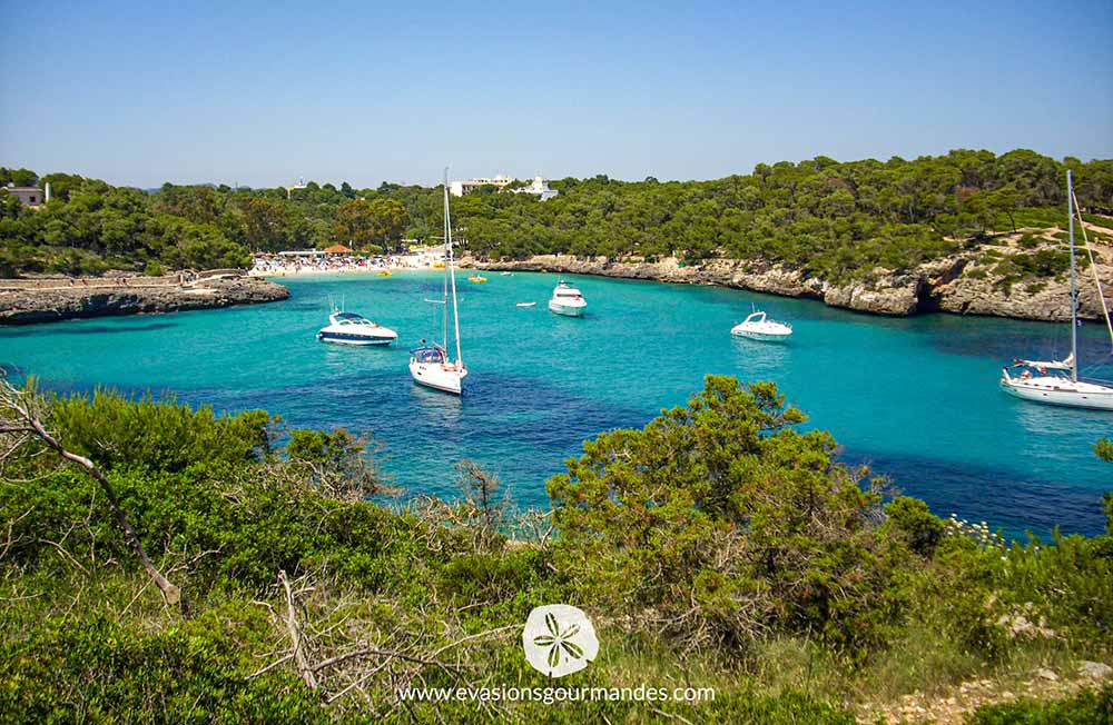 Cala Mondrago Majorque