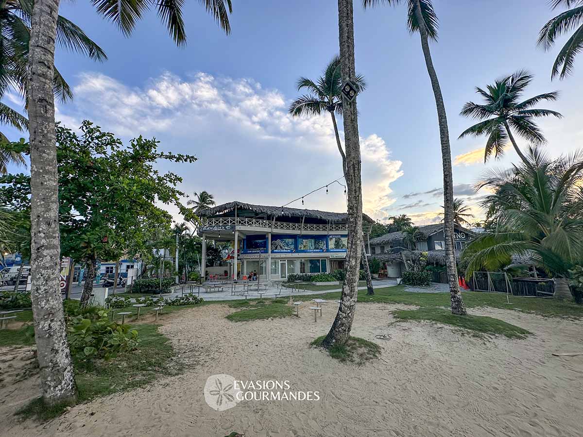 babylon-las-terrenas Babylon Las Terrenas