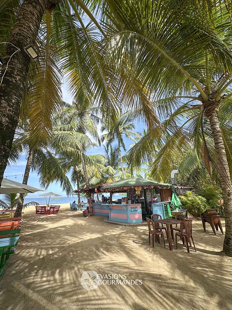 colibri-las-terrenas Colibri Las Terrenas