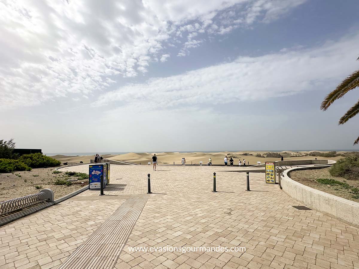 Dunes Maspalomas