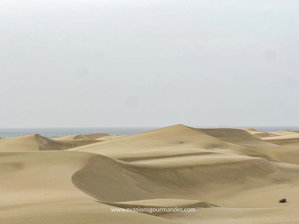 Dunes Maspalomas