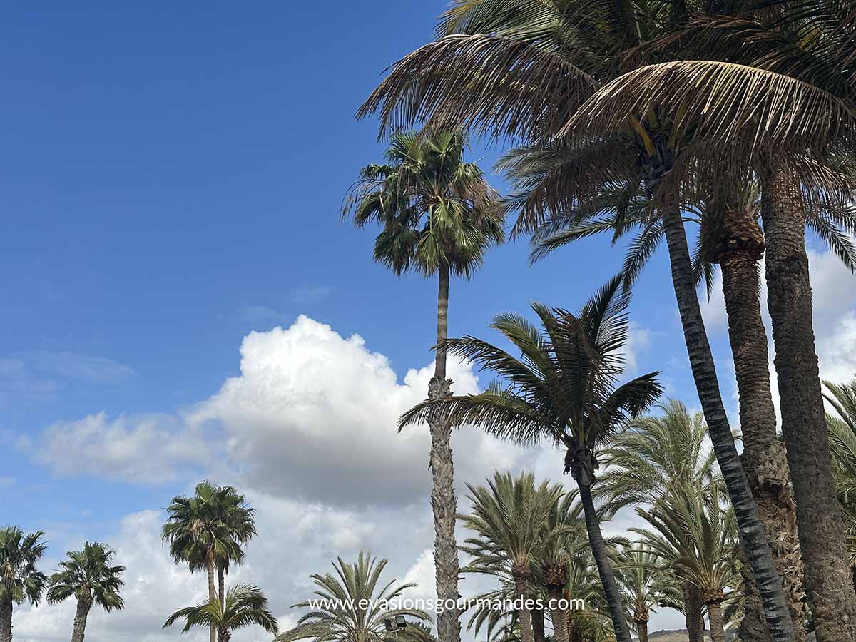 Gran Canaria