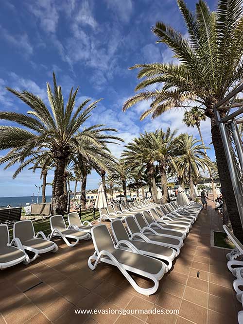 Grupotel Orquidea