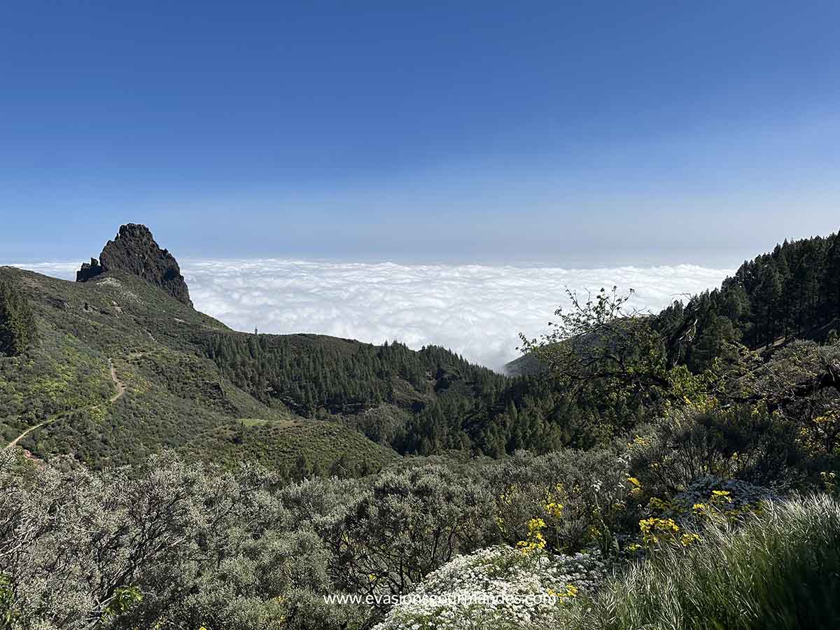 Roque Bentayga