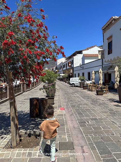 Tejeda, Gran Canaria