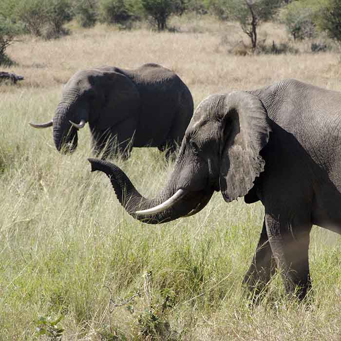 destinations Afrique