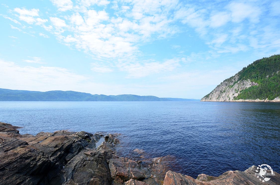 croisière sur le fjord du Saguenay