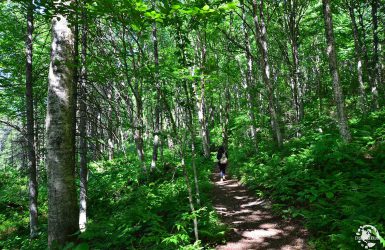 Parc National de la Jacques-Cartier