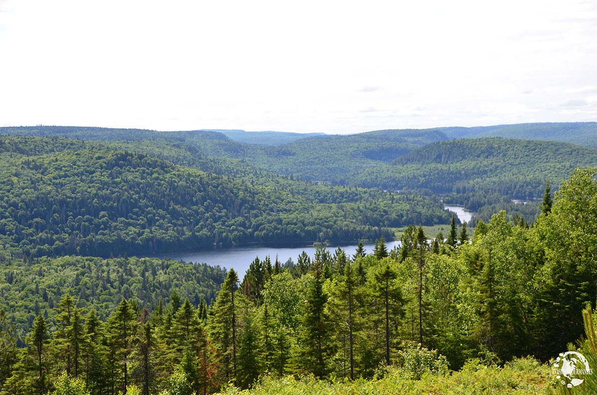 Parc National de la Mauricie