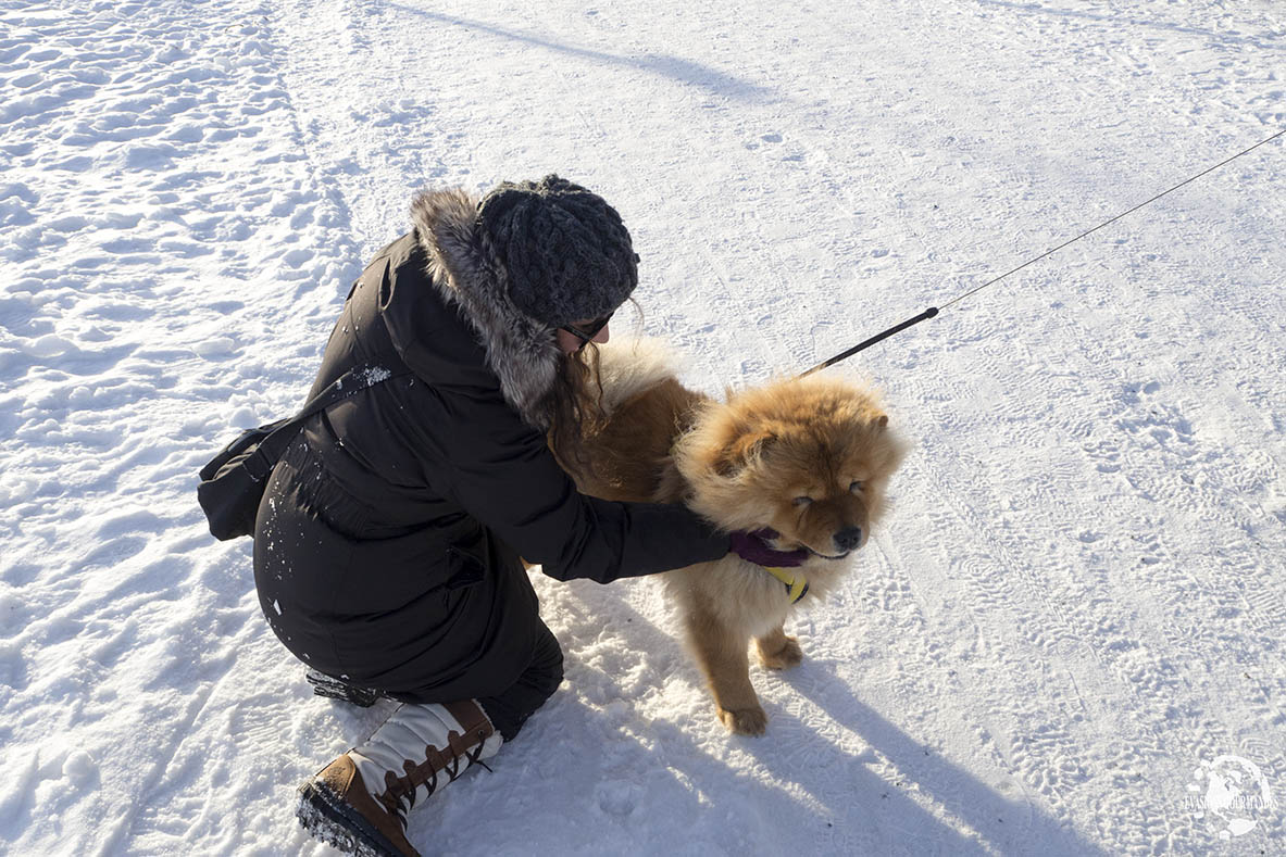 S'habiller en hiver en Laponie