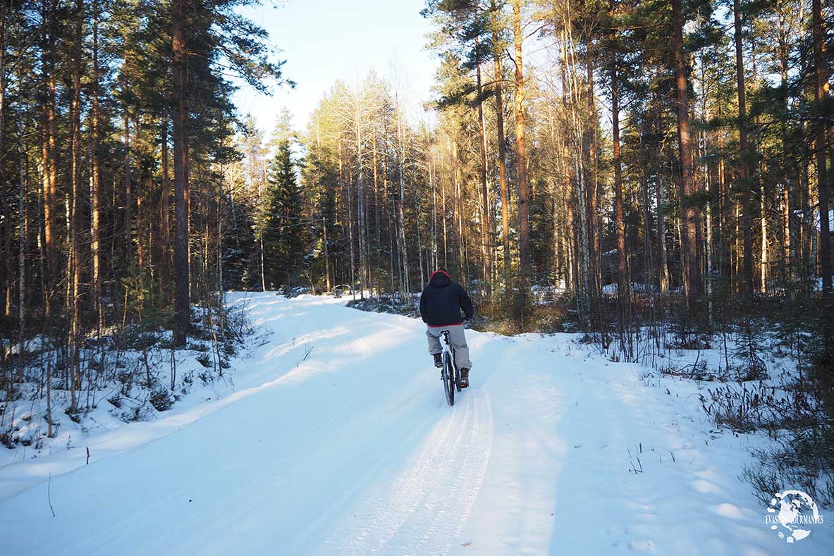 hiver-laponie hiver en Laponie