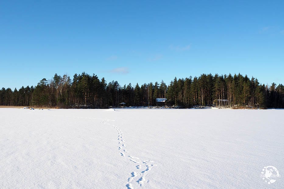 paysage Finlande hiver