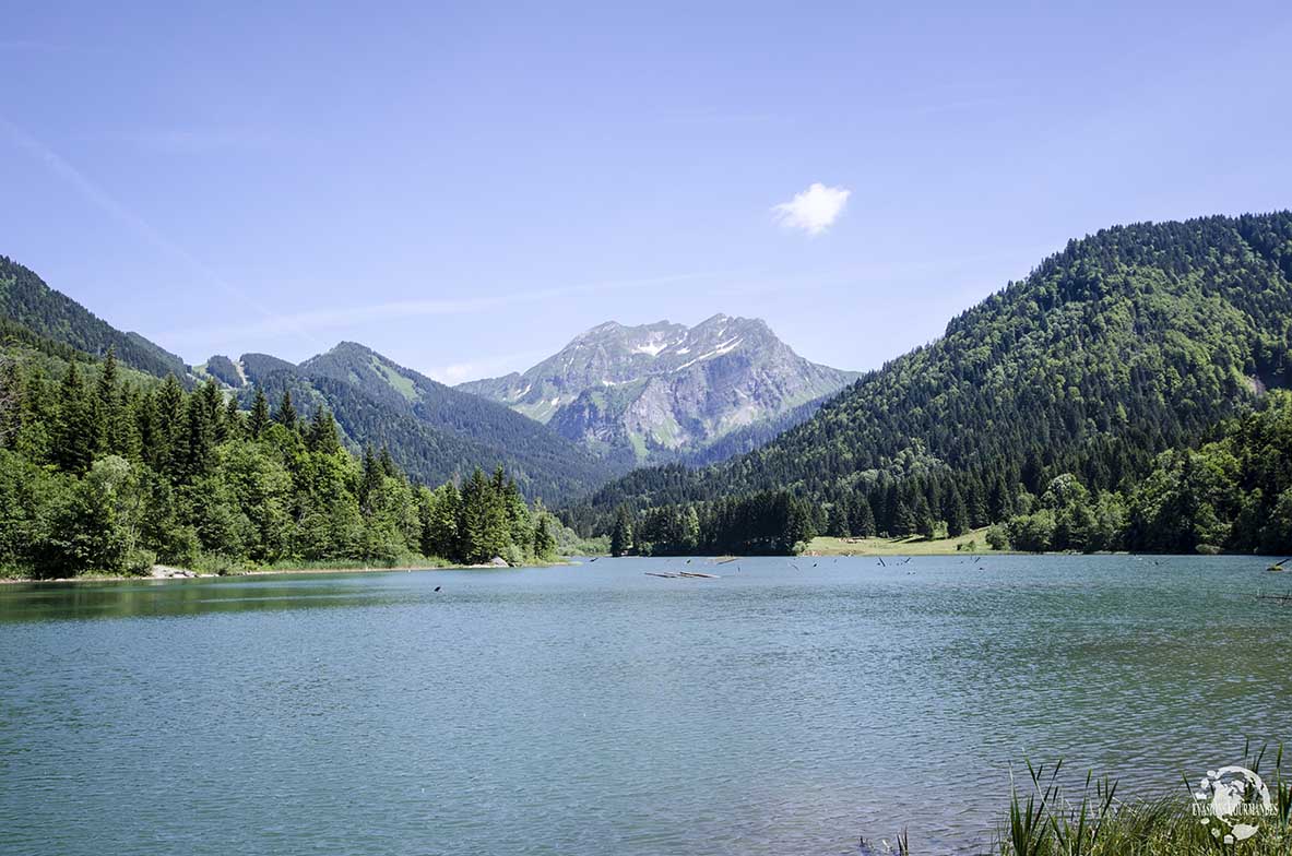 Lac de Vallon