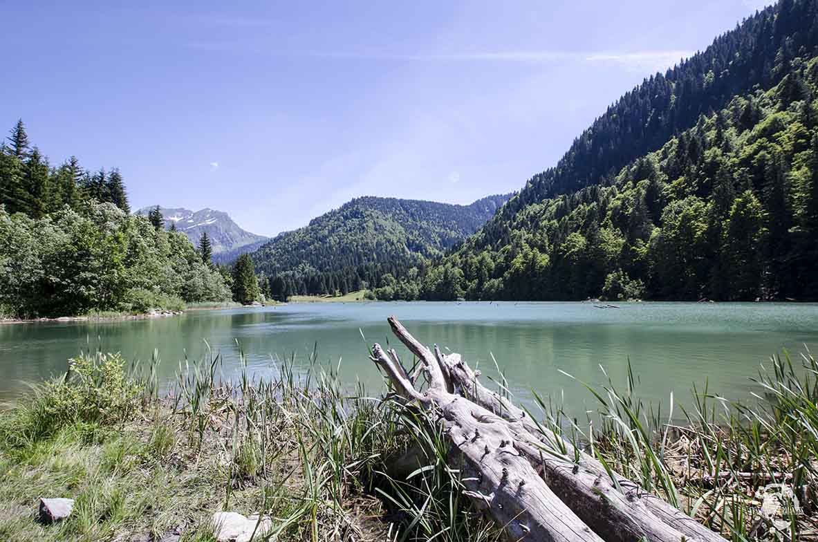 Lac de Vallon