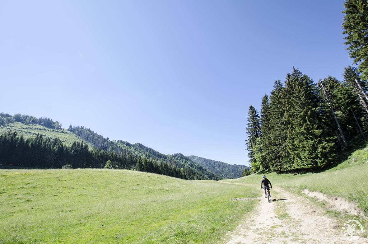 vtt élctrique Alpes du Léman