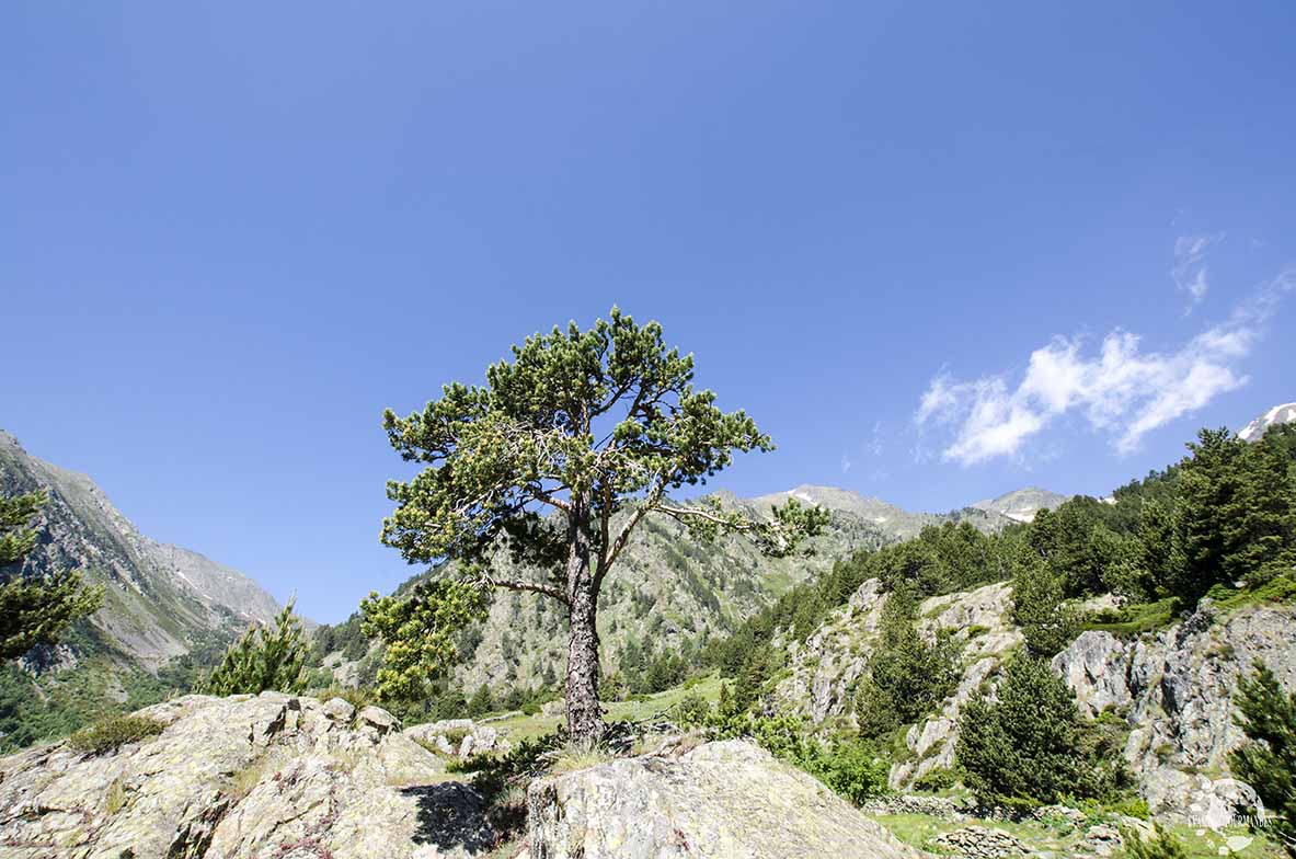 Pla de l'Estany