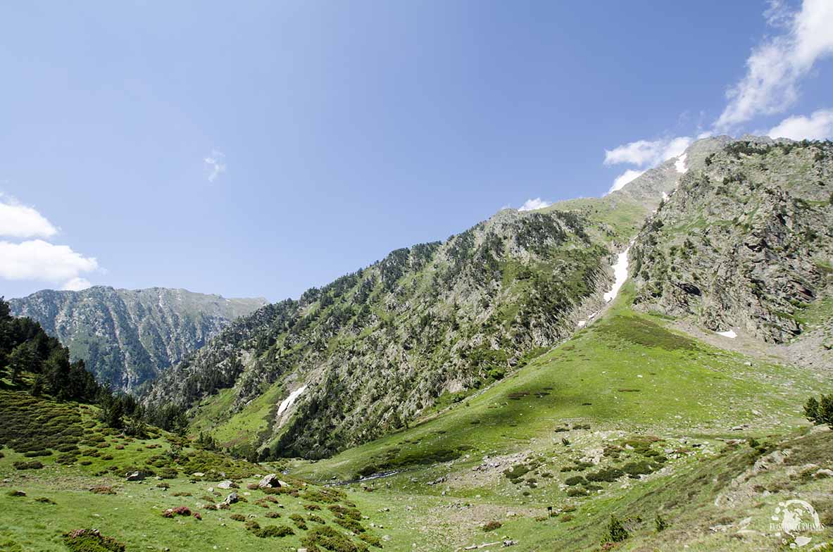 Pla de l'Estany