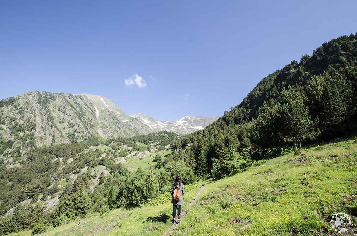 Pla de l'Estany