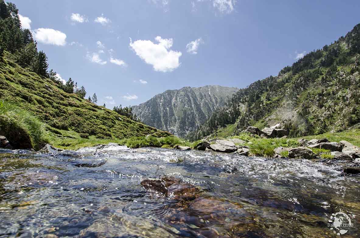 Pla de l'Estany