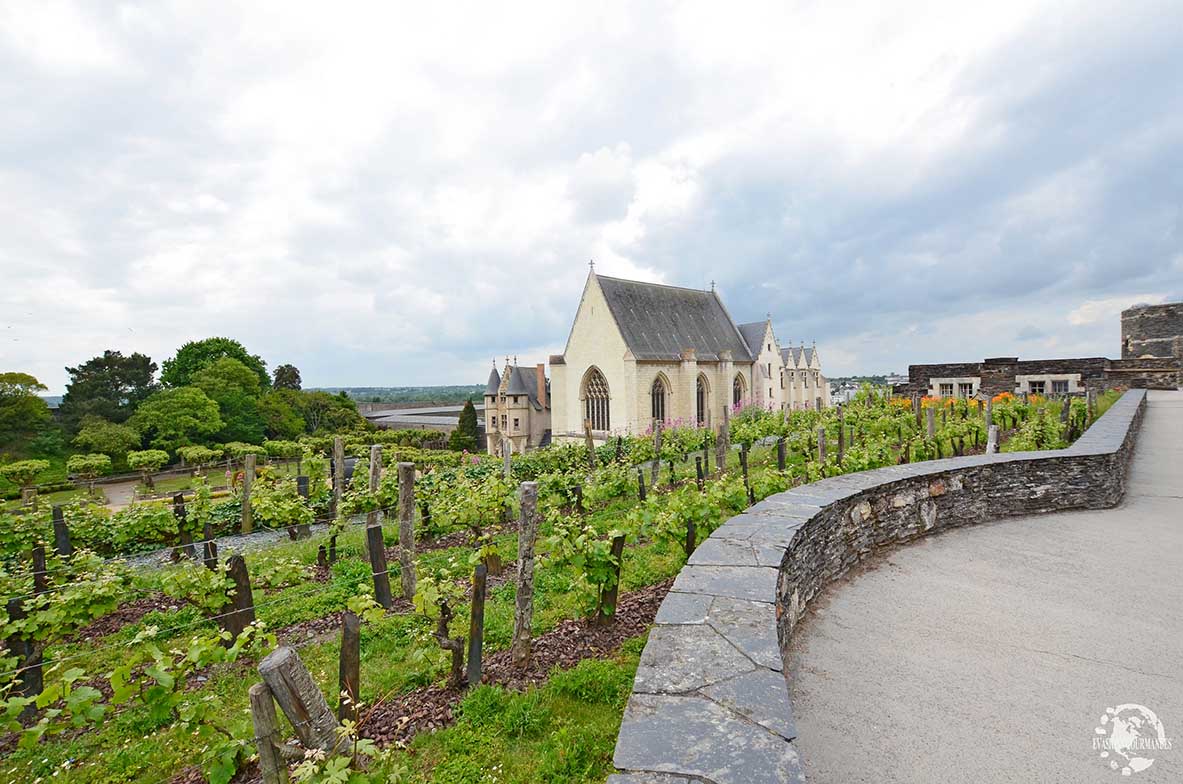 Château d'Angers