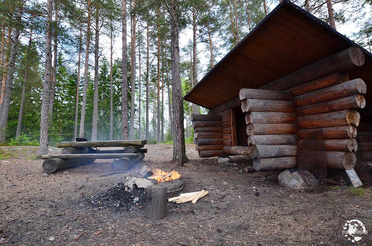 Vasterby Forest