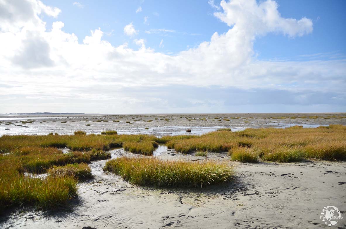 Baie de Somme